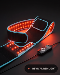 Revival Belt