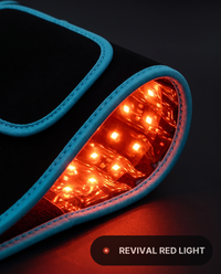 Revival Belt