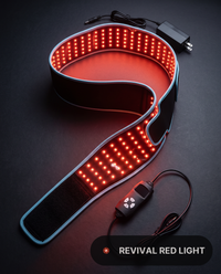 Revival Belt