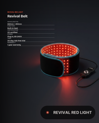 Revival Belt